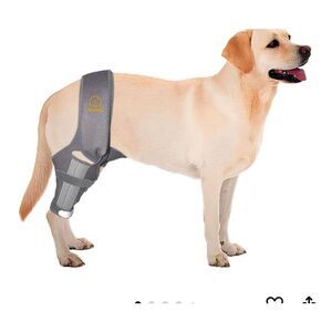 NEW Dog Knee Brace Support Torn ACL Hind Leg, Back Leg Large